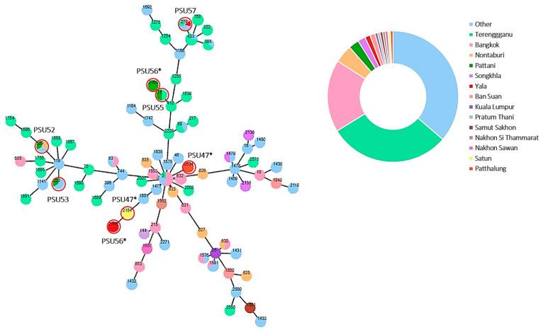 https://cdn.ncbi.nlm.nih.gov/pmc/blobs/203d/10886146/633b664783d1/antibiotics-13-00149-g005.jpg