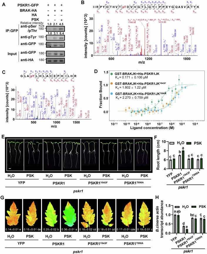 https://cdn.ncbi.nlm.nih.gov/pmc/blobs/203d/11612273/582eef5bc7f6/44318_2024_278_Fig7_HTML.jpg