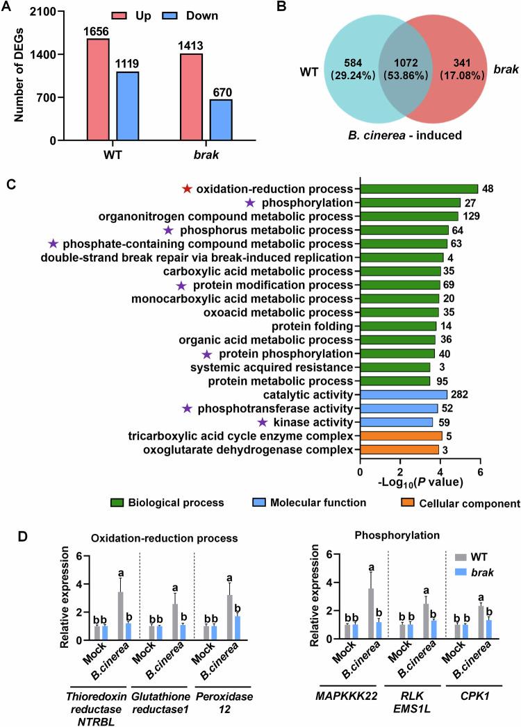 https://cdn.ncbi.nlm.nih.gov/pmc/blobs/203d/11612273/cd3f7ba555f4/44318_2024_278_Fig8_HTML.jpg
