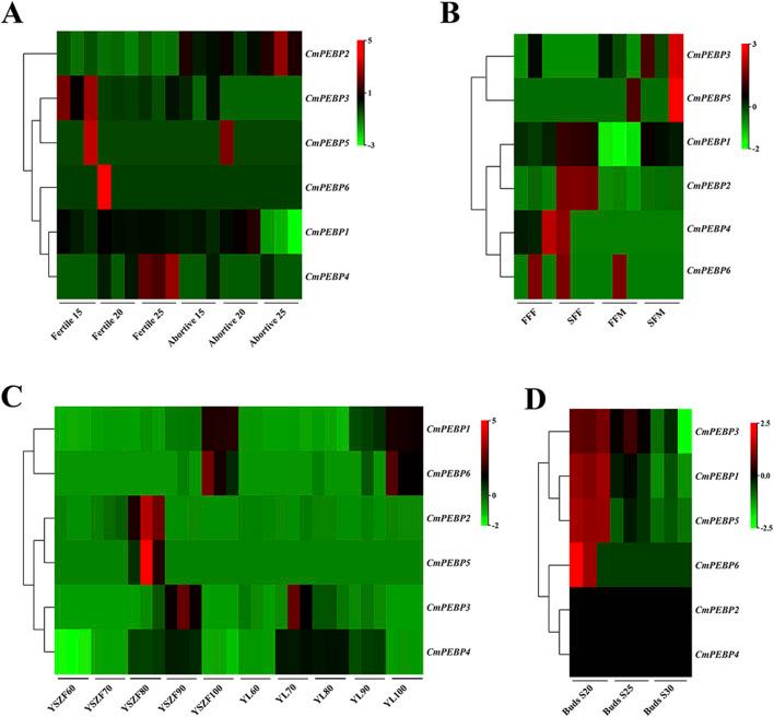 https://cdn.ncbi.nlm.nih.gov/pmc/blobs/2040/11979240/3f886f49fff7/fgene-16-1530910-g006.jpg