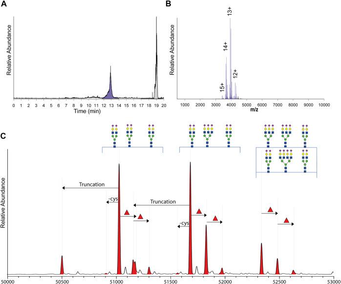 https://cdn.ncbi.nlm.nih.gov/pmc/blobs/2041/8902301/5b005b356ee4/fmolb-09-858856-g002.jpg