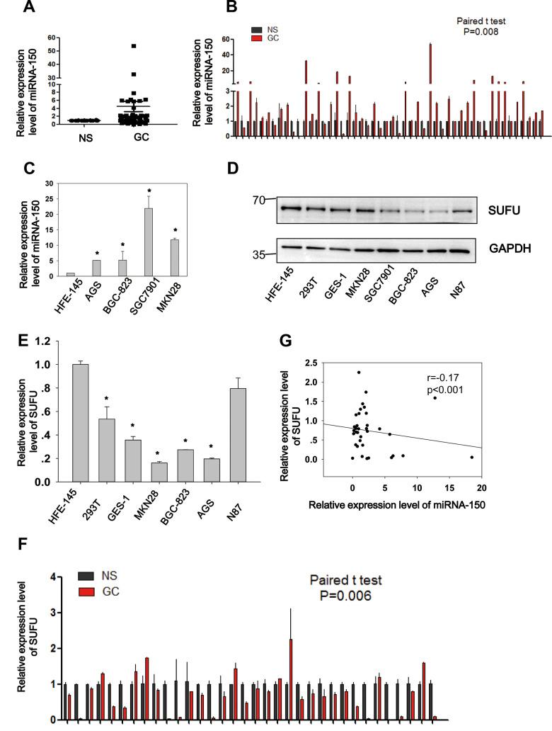 https://cdn.ncbi.nlm.nih.gov/pmc/blobs/2042/8064165/553765a0b533/aging-13-202895-g002.jpg
