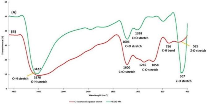 https://cdn.ncbi.nlm.nih.gov/pmc/blobs/2043/11618351/56b49bb0e455/41598_2024_81384_Fig6_HTML.jpg
