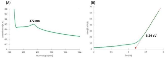 https://cdn.ncbi.nlm.nih.gov/pmc/blobs/2043/11618351/5c209dd76793/41598_2024_81384_Fig3_HTML.jpg