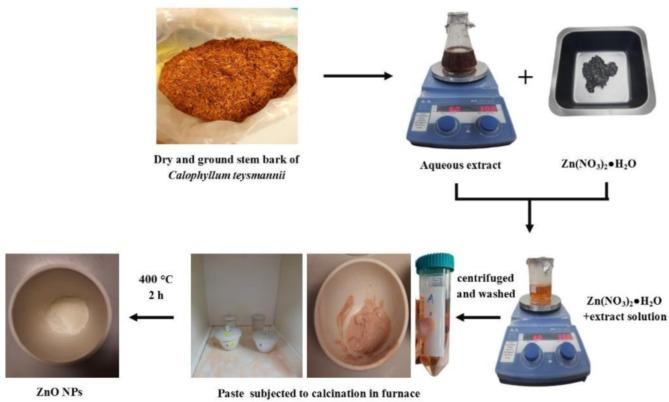 https://cdn.ncbi.nlm.nih.gov/pmc/blobs/2043/11618351/84ee6d73d1a1/41598_2024_81384_Fig2_HTML.jpg