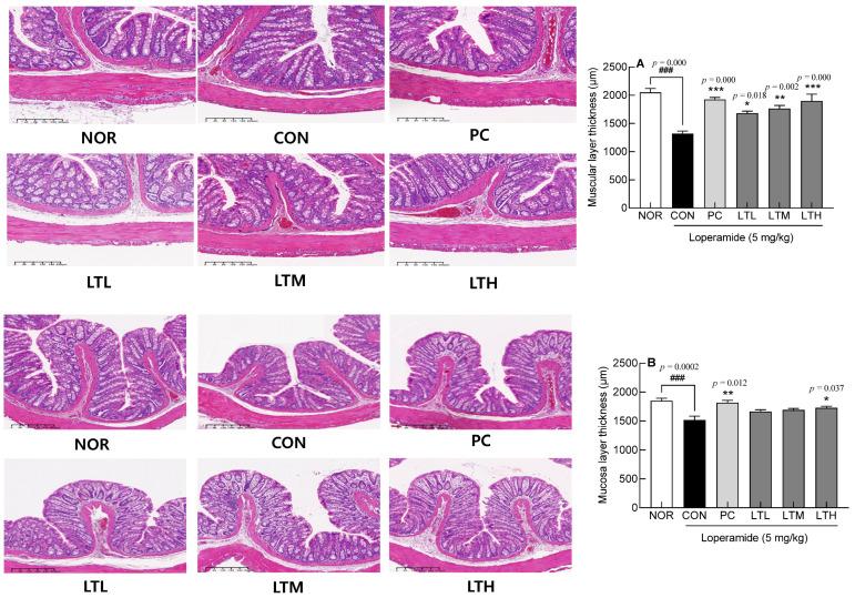https://cdn.ncbi.nlm.nih.gov/pmc/blobs/2046/11240941/c894bd6909fd/foods-13-02128-g003.jpg