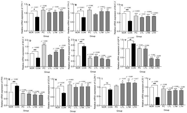 https://cdn.ncbi.nlm.nih.gov/pmc/blobs/2046/11240941/ded043e22fff/foods-13-02128-g006.jpg