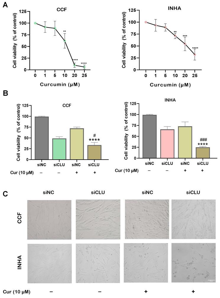 https://cdn.ncbi.nlm.nih.gov/pmc/blobs/2047/12195681/49c32ea5692e/pharmaceutics-17-00679-g001.jpg