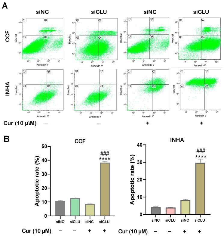 https://cdn.ncbi.nlm.nih.gov/pmc/blobs/2047/12195681/851c7570f0e5/pharmaceutics-17-00679-g004.jpg