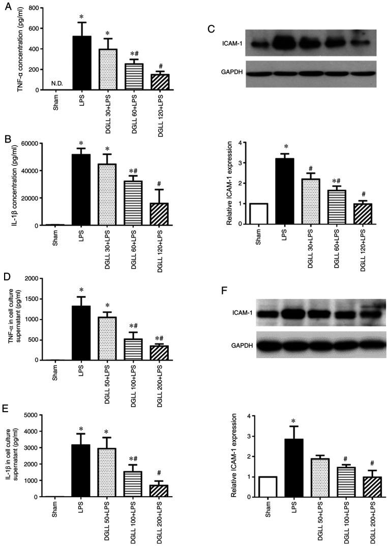 https://cdn.ncbi.nlm.nih.gov/pmc/blobs/2047/7885082/371dddd8977c/etm-21-04-09734-g01.jpg