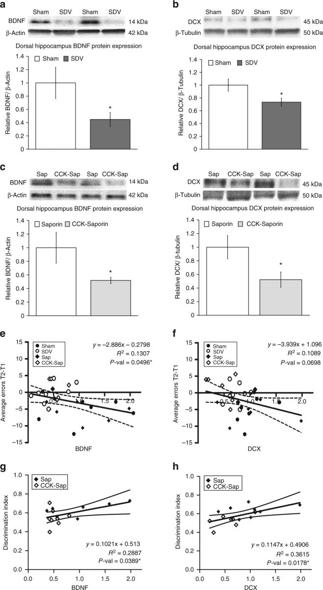 https://cdn.ncbi.nlm.nih.gov/pmc/blobs/204a/5988686/15b833efbca5/41467_2018_4639_Fig3_HTML.jpg