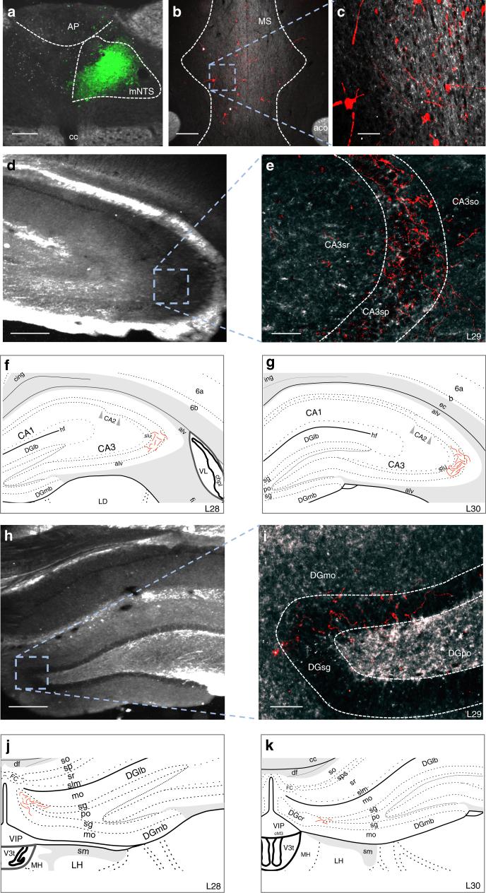 https://cdn.ncbi.nlm.nih.gov/pmc/blobs/204a/5988686/655dbfff55d5/41467_2018_4639_Fig7_HTML.jpg
