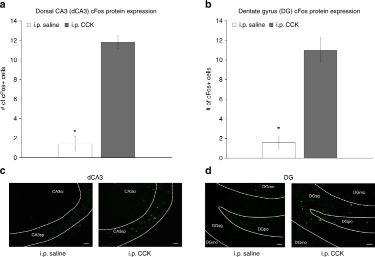https://cdn.ncbi.nlm.nih.gov/pmc/blobs/204a/5988686/9fa5e053c6b0/41467_2018_4639_Fig4_HTML.jpg