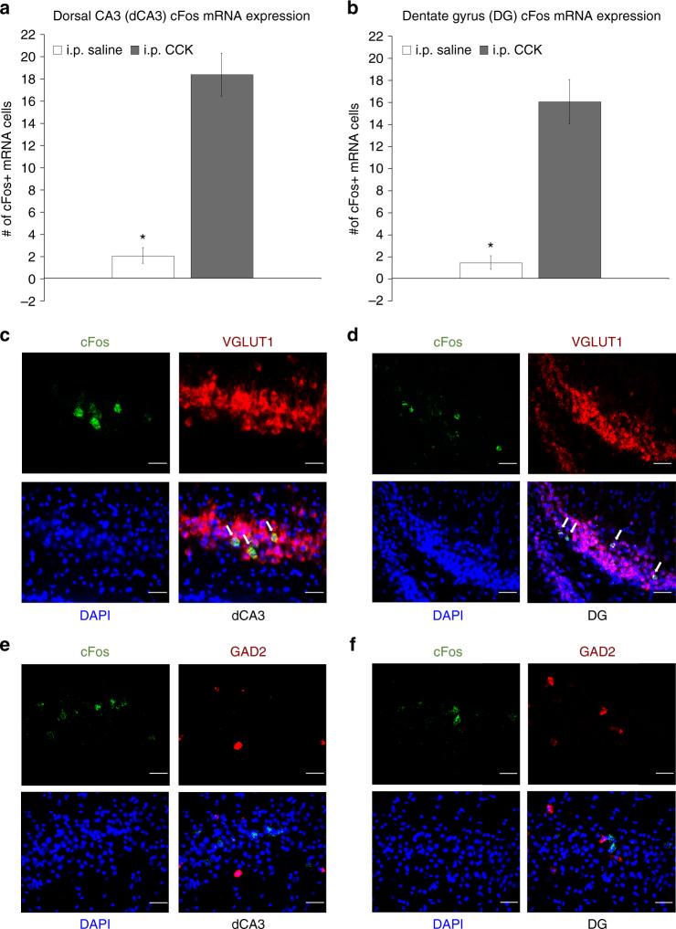 https://cdn.ncbi.nlm.nih.gov/pmc/blobs/204a/5988686/a228de33f480/41467_2018_4639_Fig5_HTML.jpg