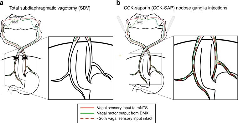 https://cdn.ncbi.nlm.nih.gov/pmc/blobs/204a/5988686/fee1275d727e/41467_2018_4639_Fig1_HTML.jpg