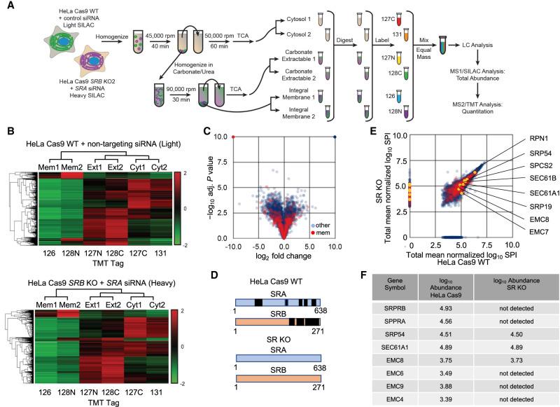 https://cdn.ncbi.nlm.nih.gov/pmc/blobs/204b/10578483/91d9dec89f74/1703f04.jpg