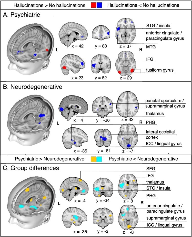 https://cdn.ncbi.nlm.nih.gov/pmc/blobs/204b/6537703/ad39af79d9c8/gr3.jpg