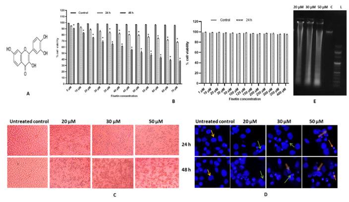 https://cdn.ncbi.nlm.nih.gov/pmc/blobs/204c/8835995/9c25dec6d3c6/ijms-23-01707-g001.jpg