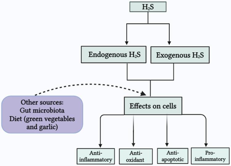 https://cdn.ncbi.nlm.nih.gov/pmc/blobs/2050/11430449/508adc4f14a5/biomolecules-14-01145-g002.jpg