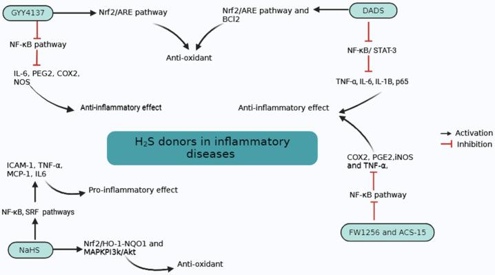 https://cdn.ncbi.nlm.nih.gov/pmc/blobs/2050/11430449/fa37b2fa67dc/biomolecules-14-01145-g003.jpg