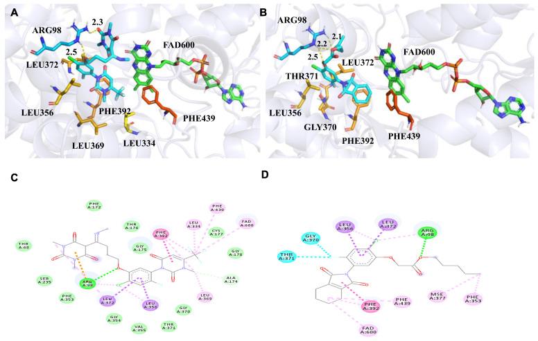 https://cdn.ncbi.nlm.nih.gov/pmc/blobs/2050/12388049/45874cdc2fc7/molecules-30-03445-g006.jpg