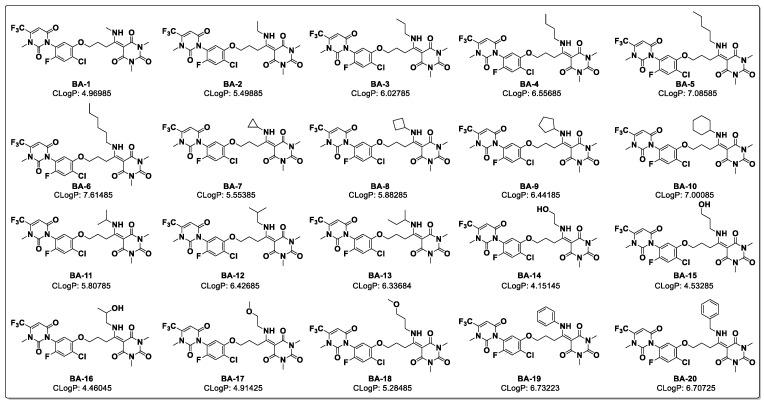 https://cdn.ncbi.nlm.nih.gov/pmc/blobs/2050/12388049/69abd21dc18a/molecules-30-03445-g002.jpg