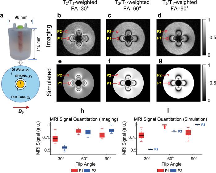 https://cdn.ncbi.nlm.nih.gov/pmc/blobs/2051/11438998/1ab6ea58d086/42003_2024_6884_Fig2_HTML.jpg