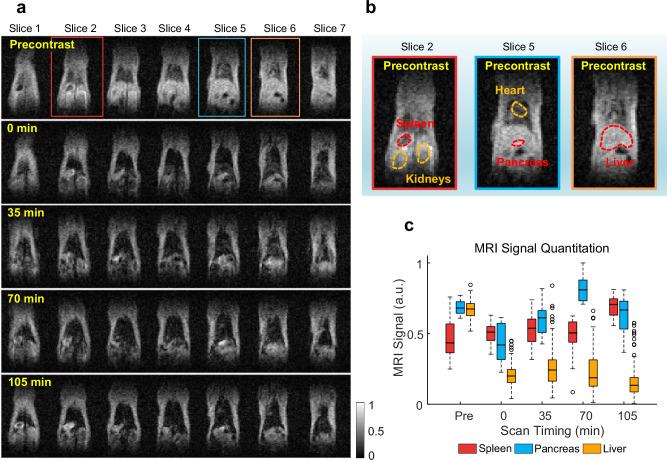 https://cdn.ncbi.nlm.nih.gov/pmc/blobs/2051/11438998/4af131bc6ab6/42003_2024_6884_Fig5_HTML.jpg