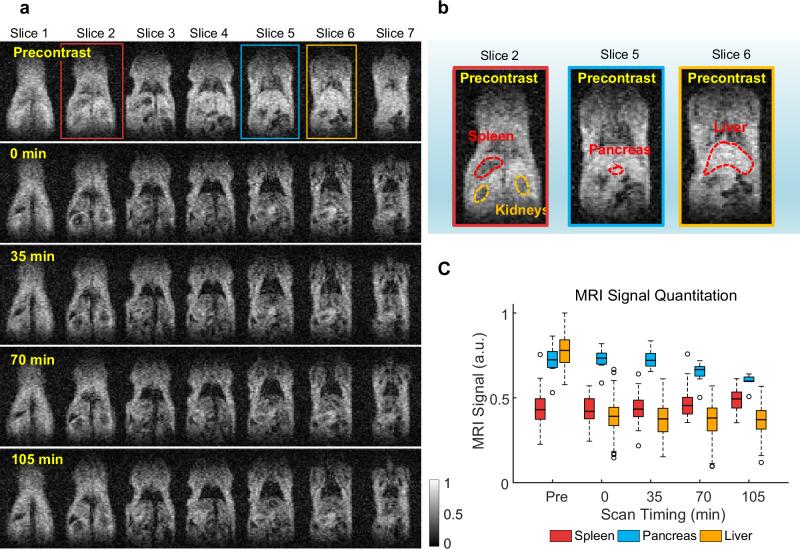 https://cdn.ncbi.nlm.nih.gov/pmc/blobs/2051/11438998/6962d51f0622/42003_2024_6884_Fig7_HTML.jpg