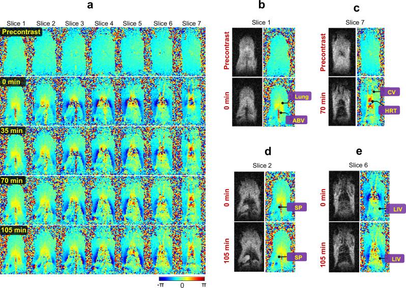 https://cdn.ncbi.nlm.nih.gov/pmc/blobs/2051/11438998/8d0e920e157f/42003_2024_6884_Fig8_HTML.jpg