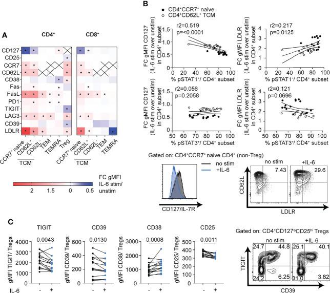 https://cdn.ncbi.nlm.nih.gov/pmc/blobs/2053/9327741/26123353464a/fimmu-13-935394-g004.jpg