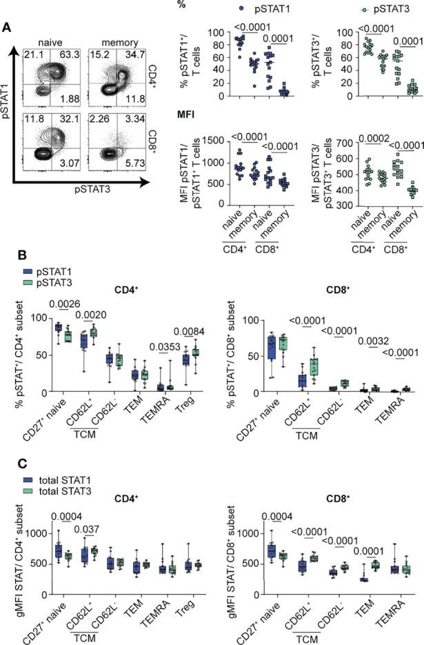 https://cdn.ncbi.nlm.nih.gov/pmc/blobs/2053/9327741/3a8be200377c/fimmu-13-935394-g001.jpg