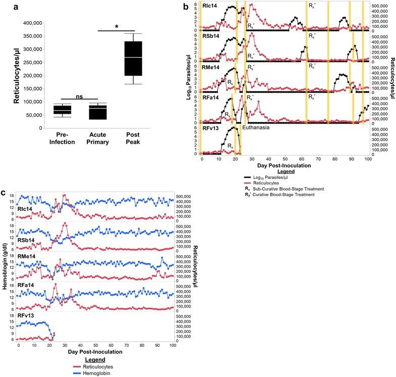https://cdn.ncbi.nlm.nih.gov/pmc/blobs/2054/5010691/0fa07d44a0f3/12936_2016_1480_Fig3_HTML.jpg