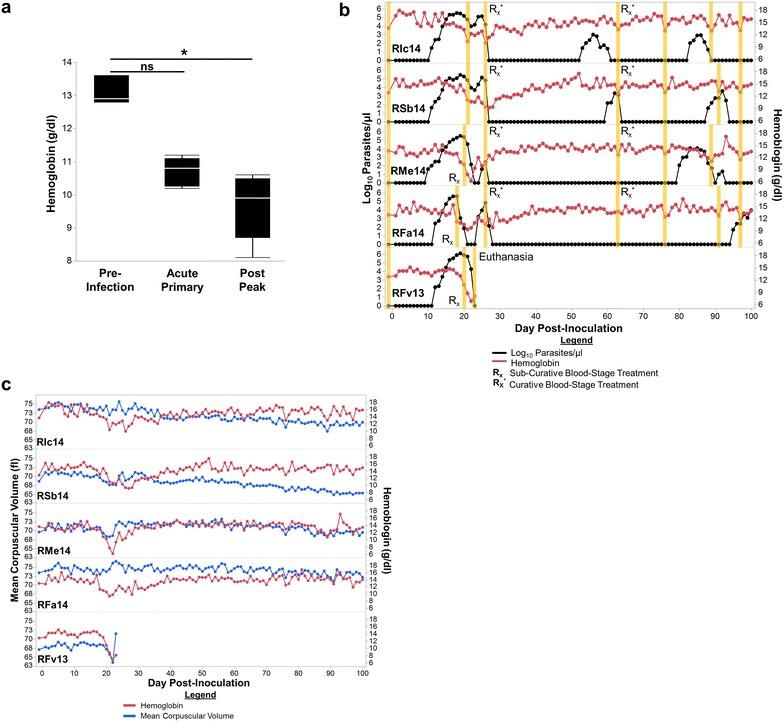 https://cdn.ncbi.nlm.nih.gov/pmc/blobs/2054/5010691/143d203ae0ca/12936_2016_1480_Fig2_HTML.jpg