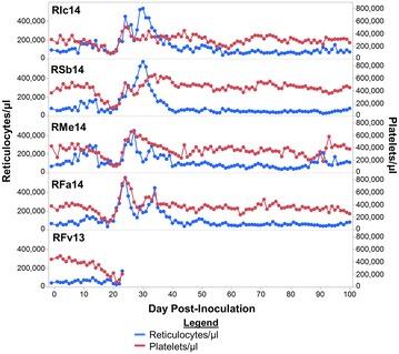 https://cdn.ncbi.nlm.nih.gov/pmc/blobs/2054/5010691/466ec2cfa5bd/12936_2016_1480_Fig5_HTML.jpg