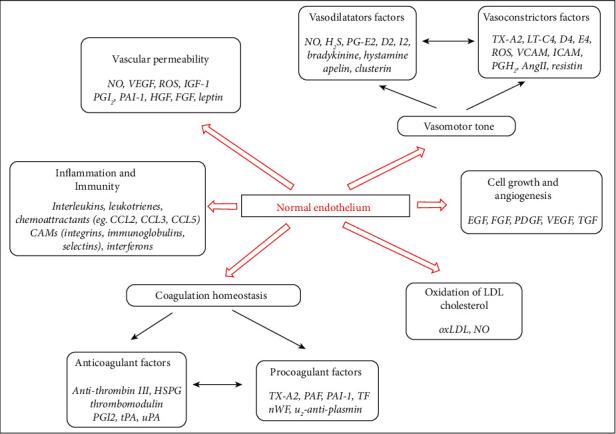 https://cdn.ncbi.nlm.nih.gov/pmc/blobs/2054/8397545/6fa8ed209b7a/OMCL2021-8671713.001.jpg