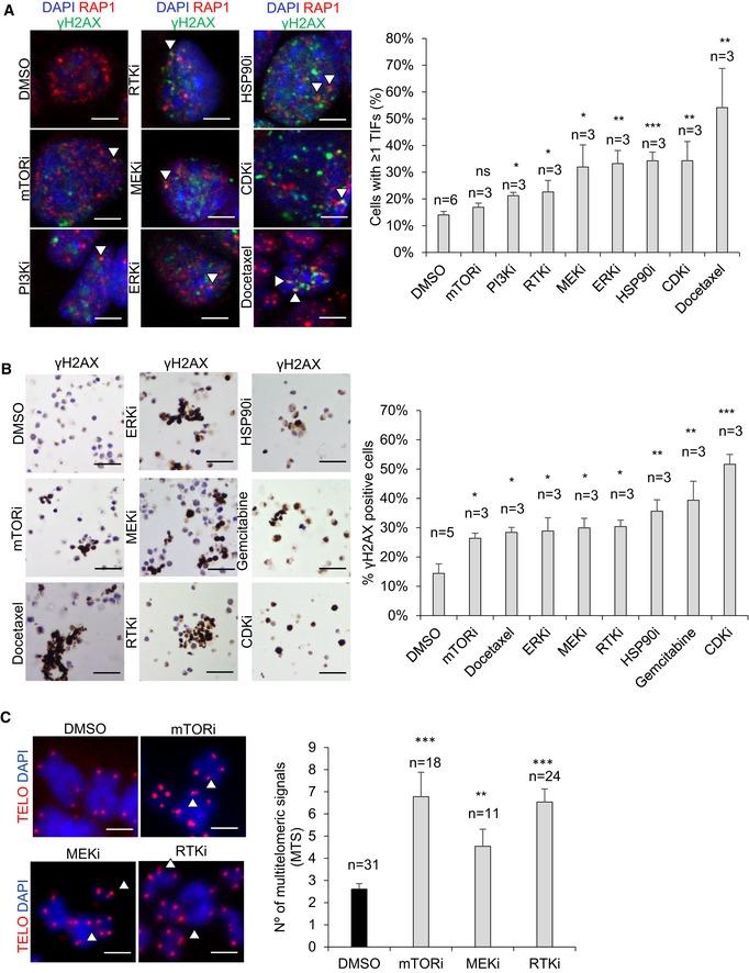 https://cdn.ncbi.nlm.nih.gov/pmc/blobs/2055/6609915/3884faaf270c/EMMM-11-e10292-g004.jpg