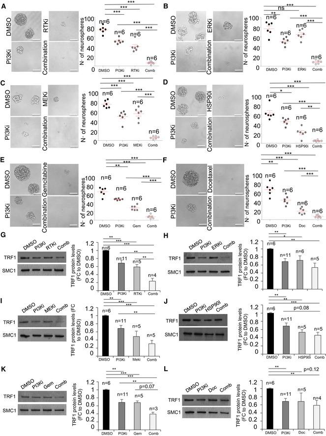 https://cdn.ncbi.nlm.nih.gov/pmc/blobs/2055/6609915/3b0f6b3e49c8/EMMM-11-e10292-g012.jpg