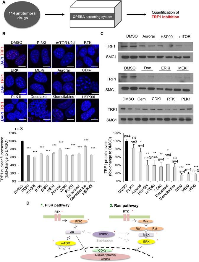 https://cdn.ncbi.nlm.nih.gov/pmc/blobs/2055/6609915/56db63250253/EMMM-11-e10292-g002.jpg