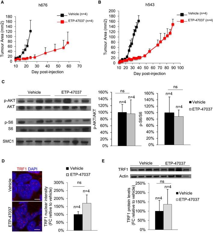 https://cdn.ncbi.nlm.nih.gov/pmc/blobs/2055/6609915/7a7666328bcc/EMMM-11-e10292-g007.jpg