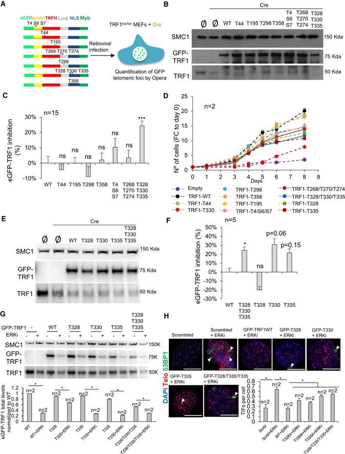 https://cdn.ncbi.nlm.nih.gov/pmc/blobs/2055/6609915/7fa9dd7e0a02/EMMM-11-e10292-g010.jpg