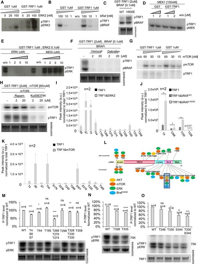 https://cdn.ncbi.nlm.nih.gov/pmc/blobs/2055/6609915/bb0eca9996ec/EMMM-11-e10292-g008.jpg