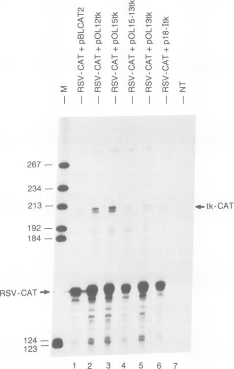 https://cdn.ncbi.nlm.nih.gov/pmc/blobs/2056/557037/66c3c140745e/emboj00097-0361-a.jpg