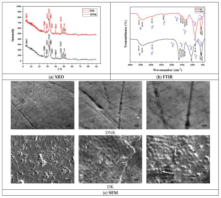 https://cdn.ncbi.nlm.nih.gov/pmc/blobs/205c/11274310/27e165517796/bioengineering-11-00716-g004a.jpg