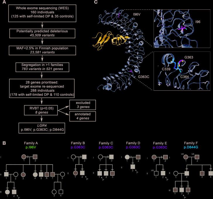 https://cdn.ncbi.nlm.nih.gov/pmc/blobs/205c/7308048/212635ca7b8b/jciinsight-5-133434-g157.jpg