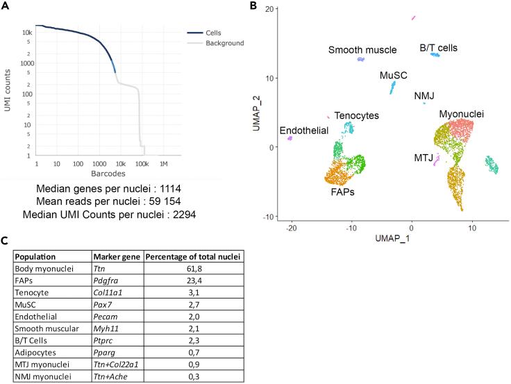 https://cdn.ncbi.nlm.nih.gov/pmc/blobs/205c/8339382/ef4c60d1b954/gr3.jpg