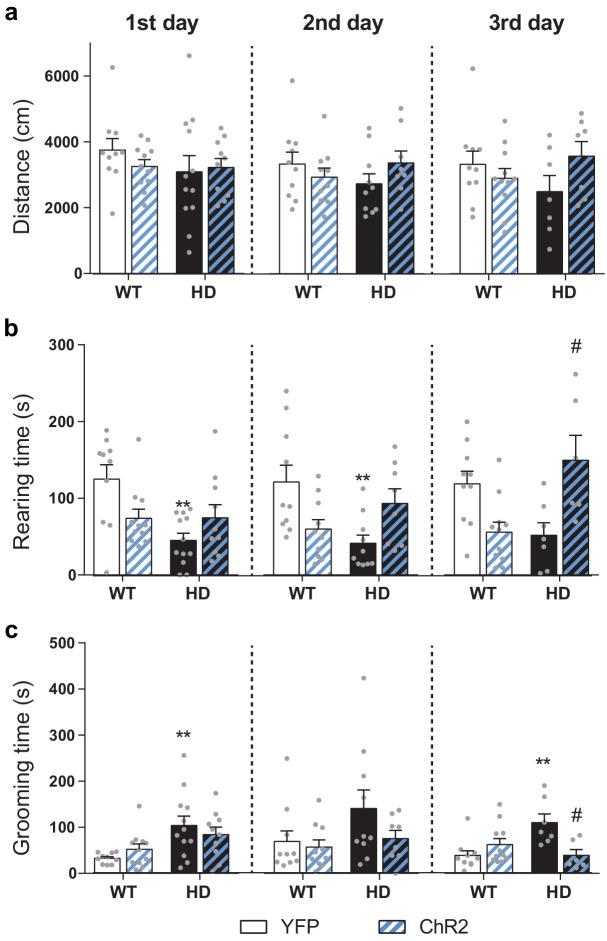 https://cdn.ncbi.nlm.nih.gov/pmc/blobs/2063/7535932/790370b15bad/elife-57017-fig4-figsupp2.jpg