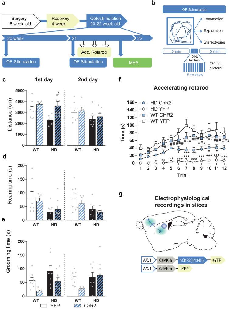 https://cdn.ncbi.nlm.nih.gov/pmc/blobs/2063/7535932/ac36d8a23ccc/elife-57017-fig6-figsupp1.jpg