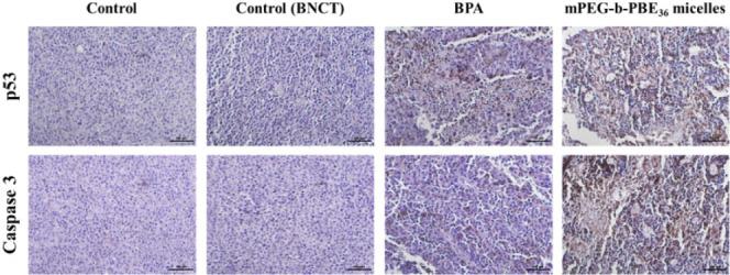 https://cdn.ncbi.nlm.nih.gov/pmc/blobs/2064/11238341/5873792196cb/bm4c00298_0013.jpg