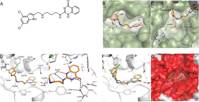 https://cdn.ncbi.nlm.nih.gov/pmc/blobs/2064/5663395/46eb8f78ef2c/id-2017-00047k_0006.jpg